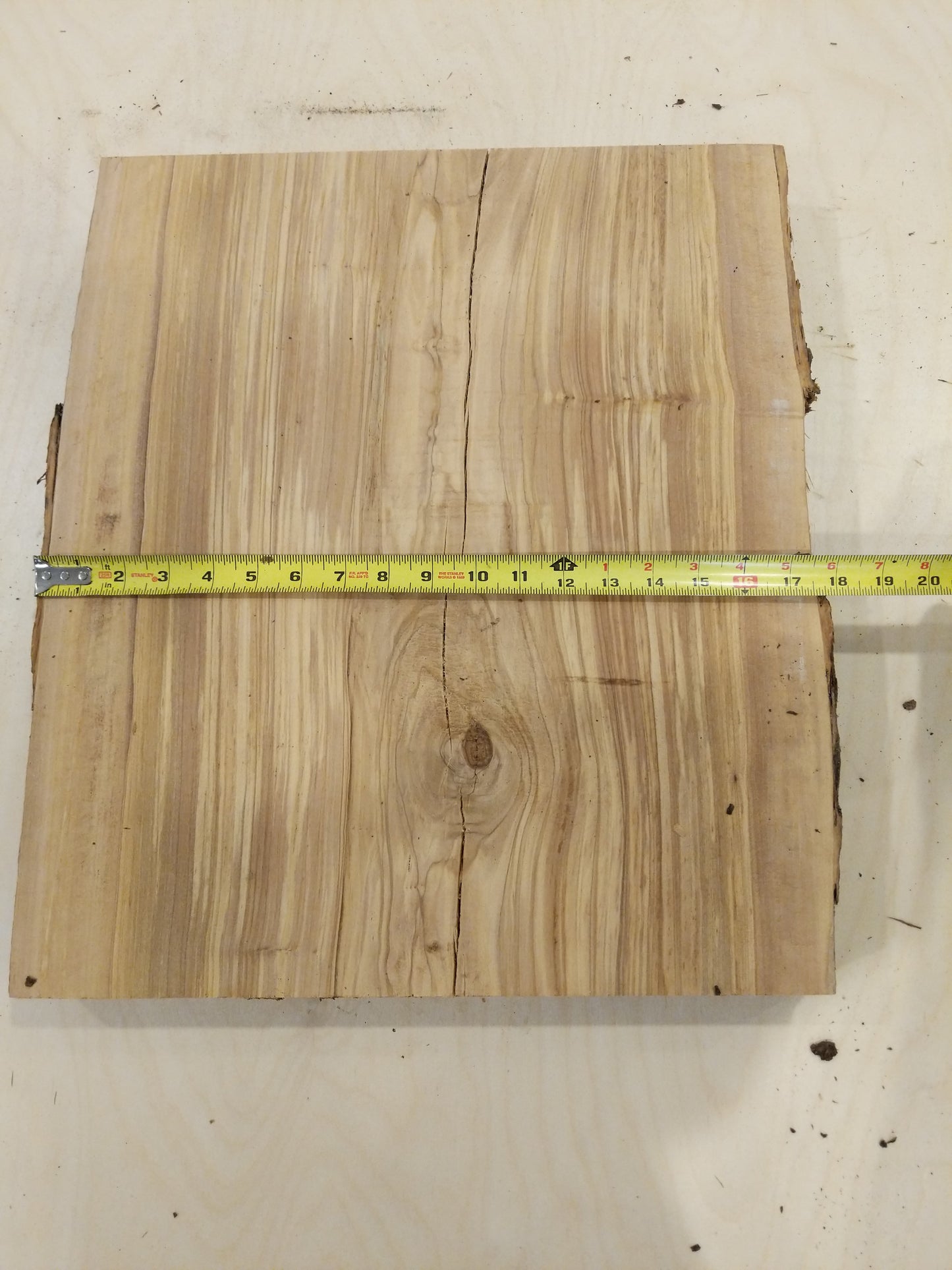 Italian Olive Wood Live Edge Mini Slab