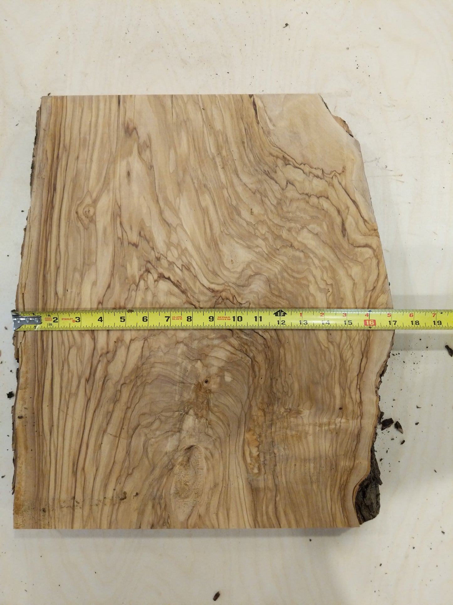 Italian Olive Wood Live Edge Mini Slab