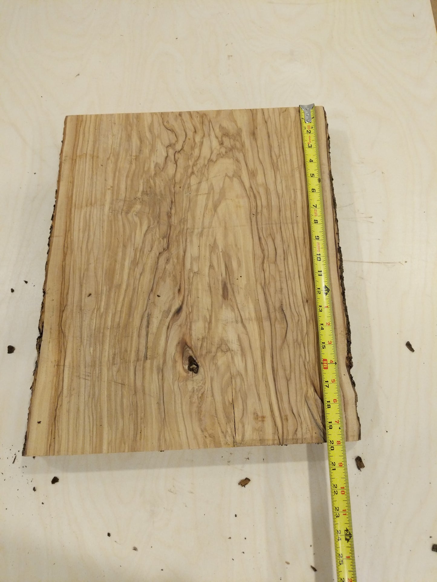 Italian Olive Wood Live Edge Mini Slab