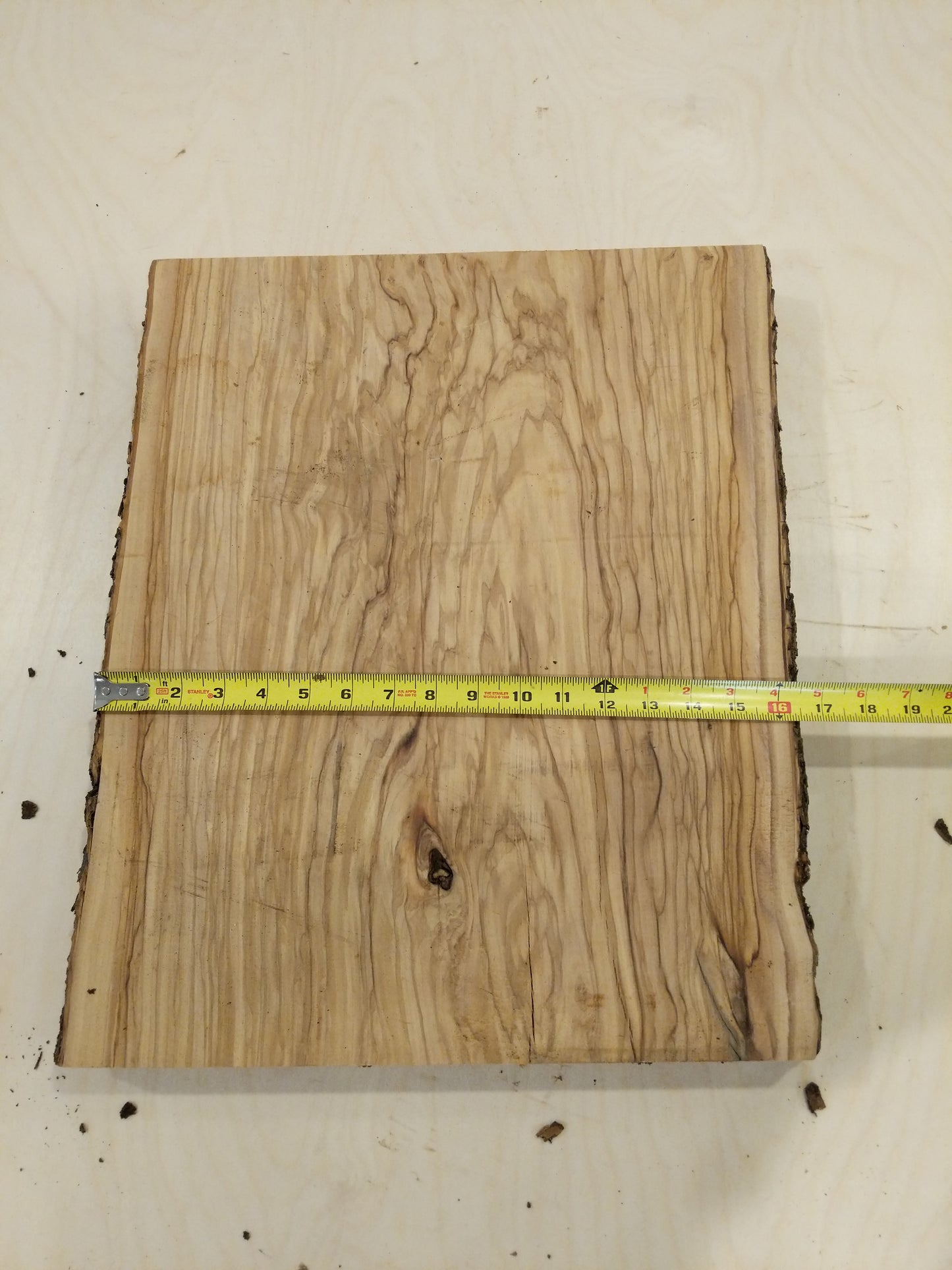 Italian Olive Wood Live Edge Mini Slab
