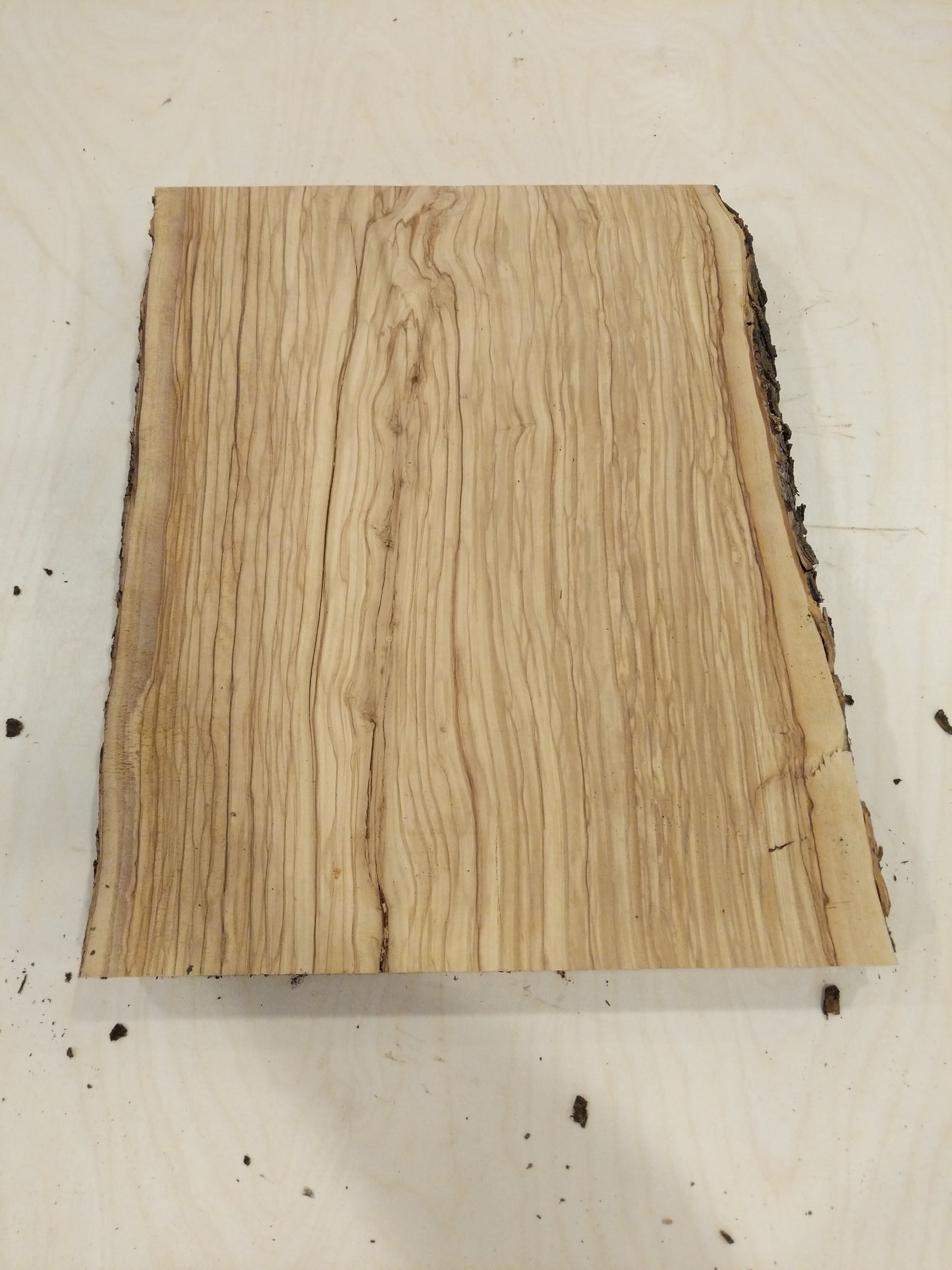 Italian Olive Wood Live Edge Mini Slab