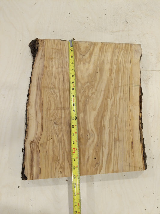 Italian Olive Wood Live Edge Mini Slab