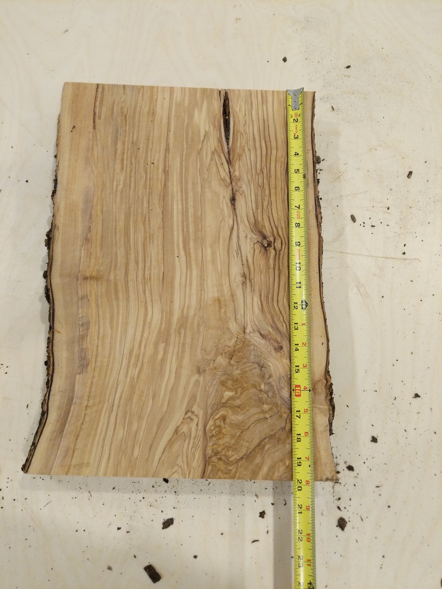 Italian Olive Wood Live Edge Mini Slab