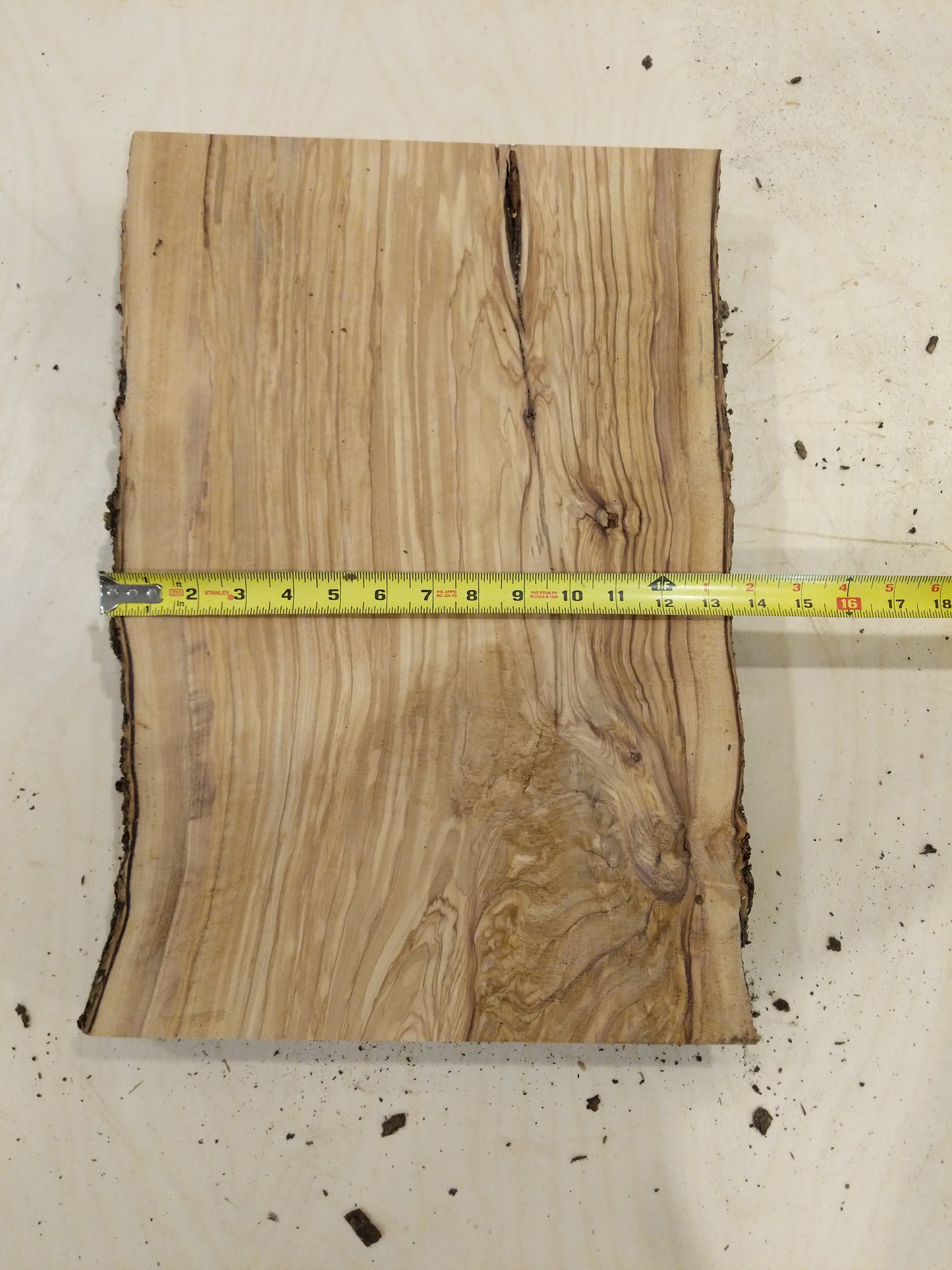 Italian Olive Wood Live Edge Mini Slab