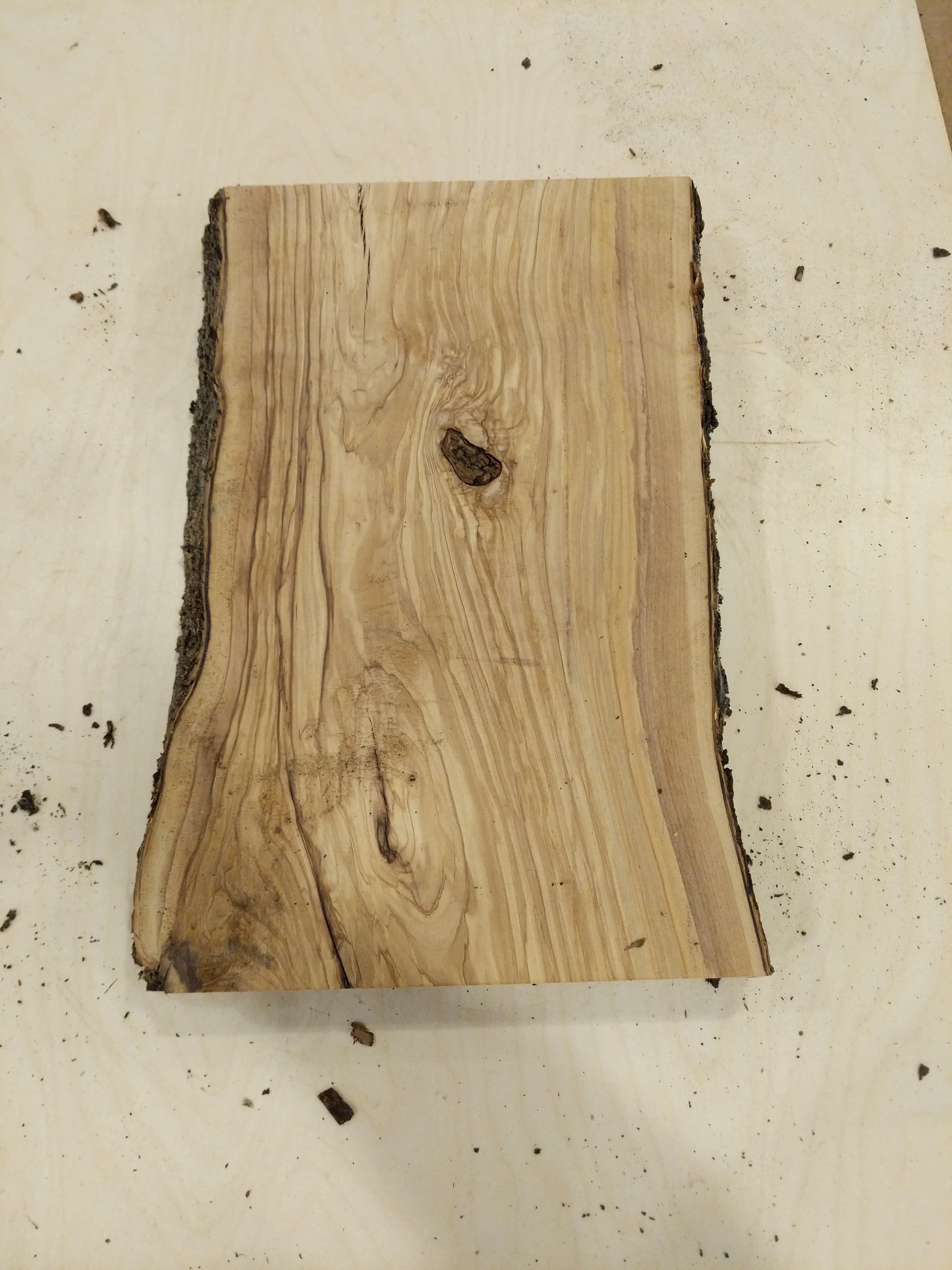 Italian Olive Wood Live Edge Mini Slab