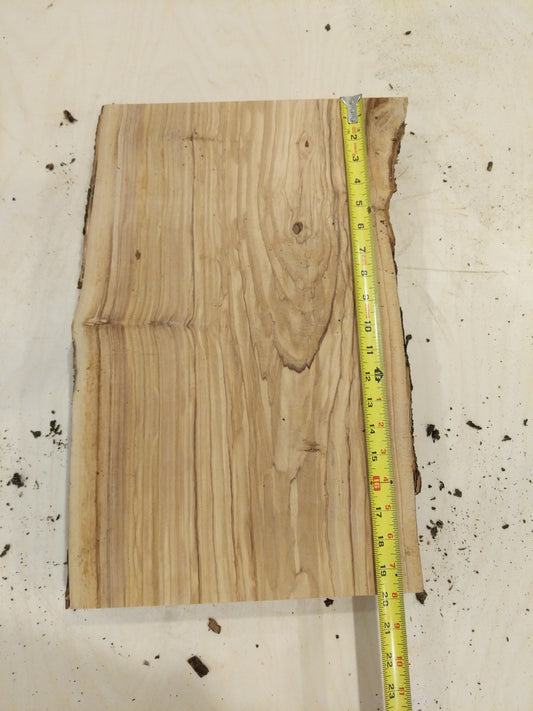 Italian Olive Wood Live Edge Mini Slab