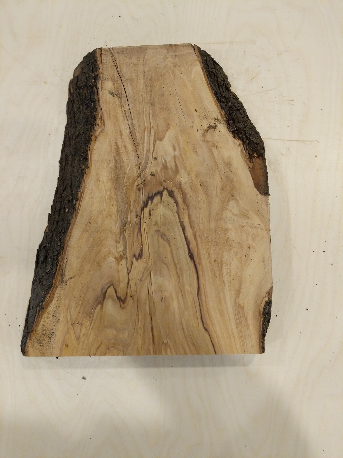 Italian Olive Wood Live Edge Mini Slab