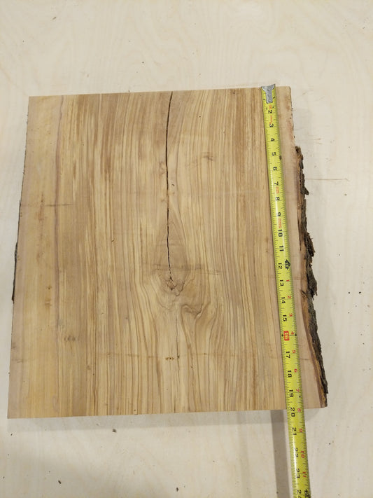 Italian Olive Wood Live Edge Mini Slab