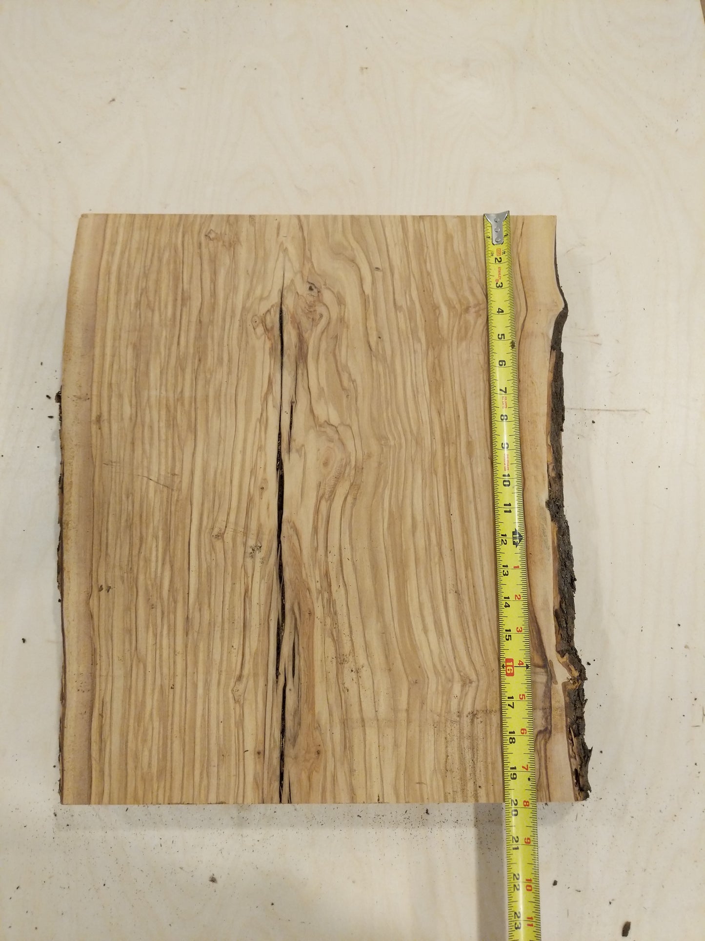 Italian Olive Wood Live Edge Mini Slab