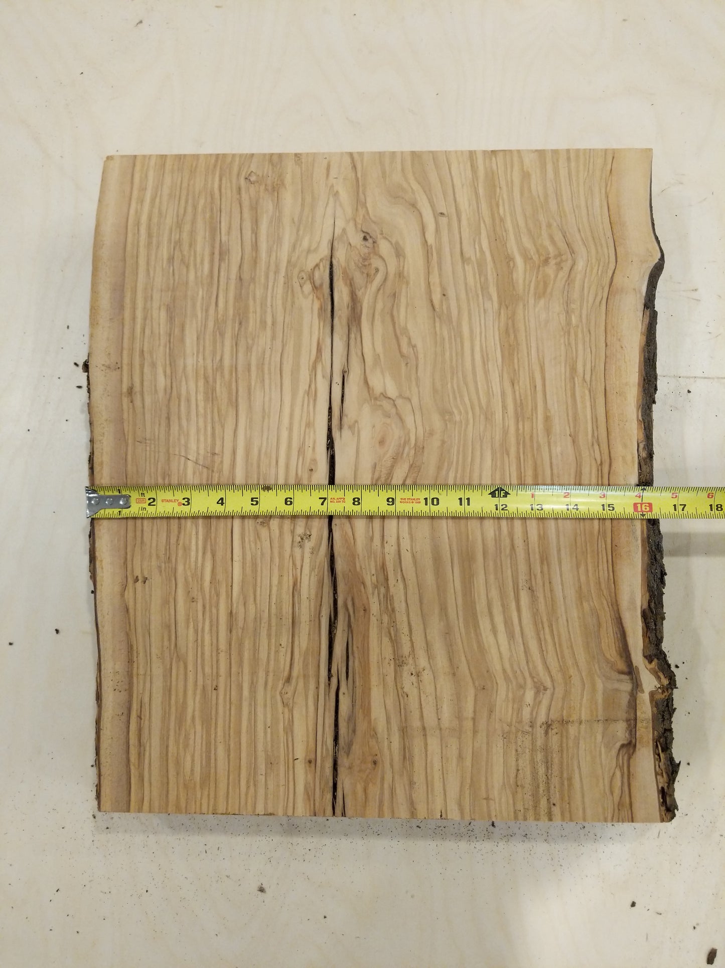 Italian Olive Wood Live Edge Mini Slab
