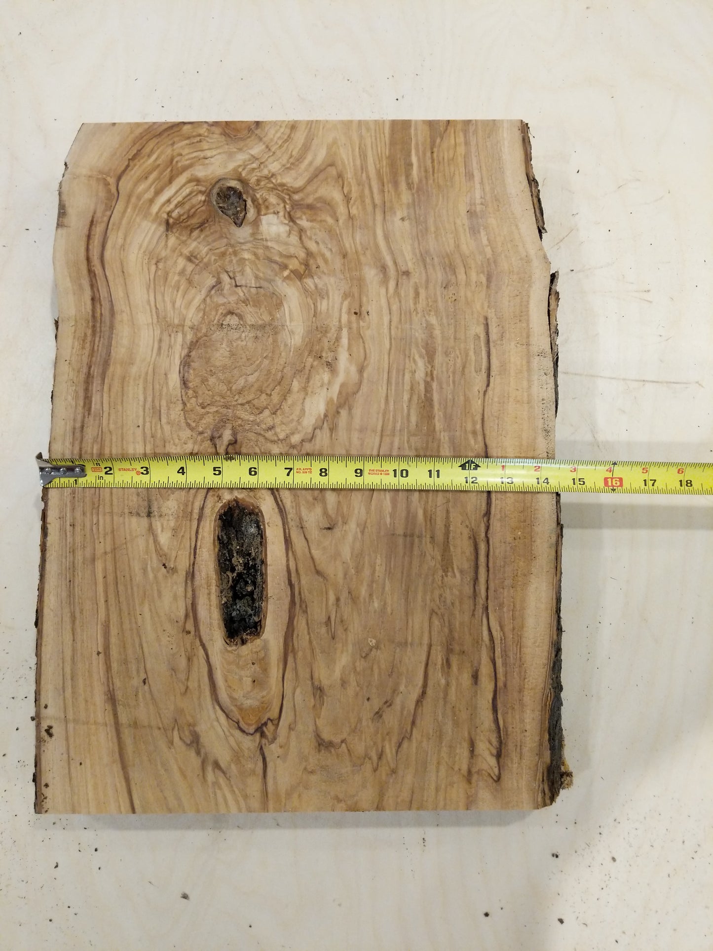 Italian Olive Wood Live Edge Mini Slab