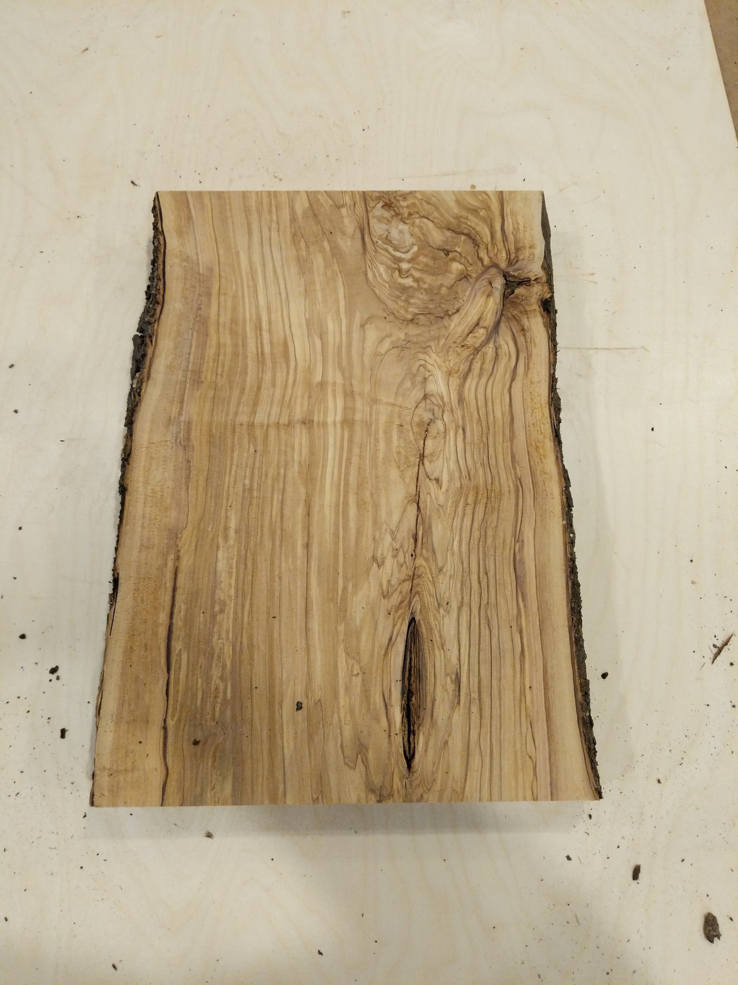 Italian Olive Wood Live Edge Mini Slab