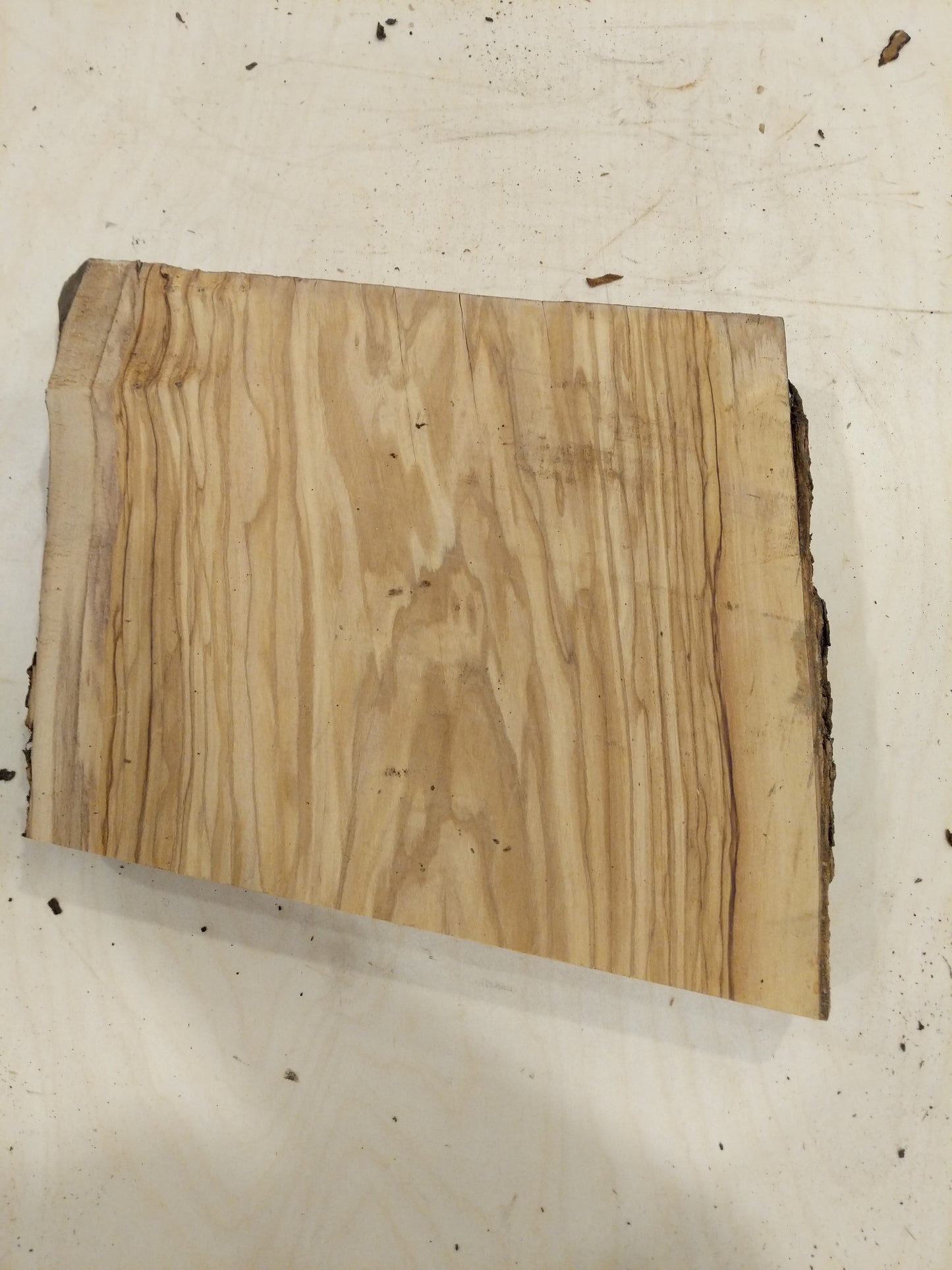 Italian Olive Wood Live Edge Mini Slab