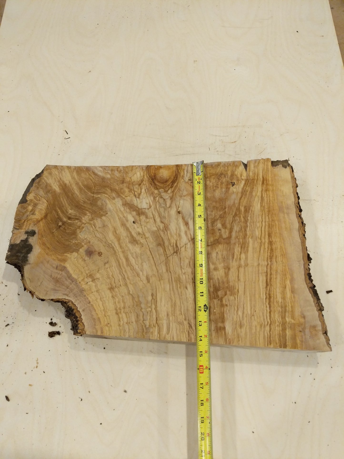 Italian Olive Wood Live Edge Mini Slab