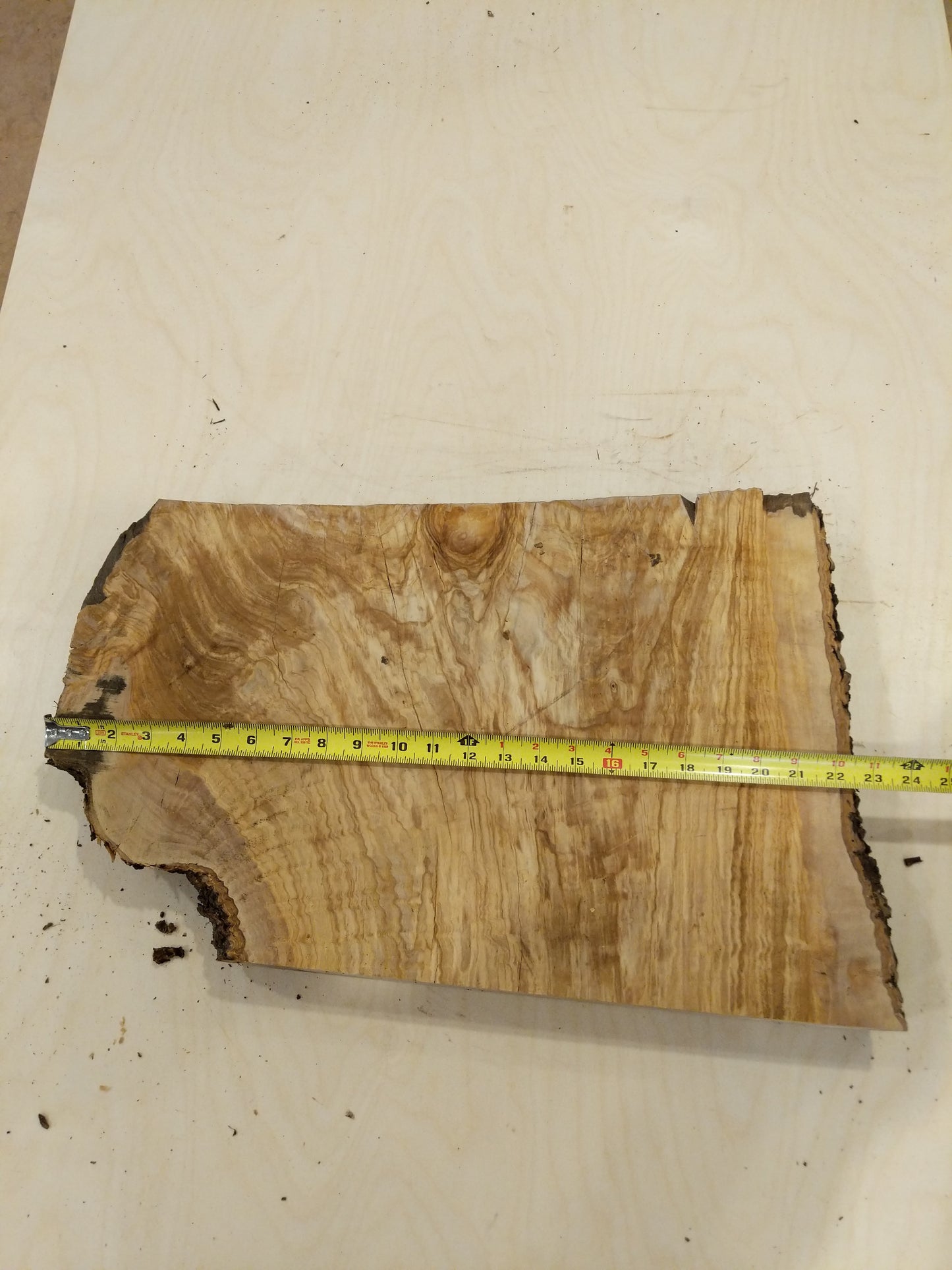 Italian Olive Wood Live Edge Mini Slab