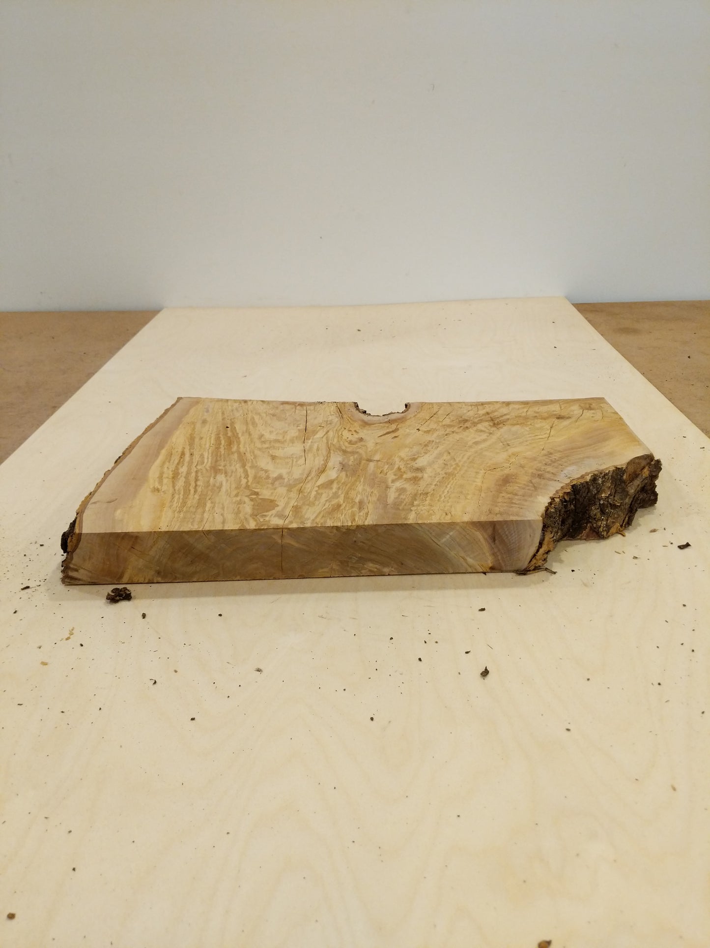 Italian Olive Wood Live Edge Mini Slab