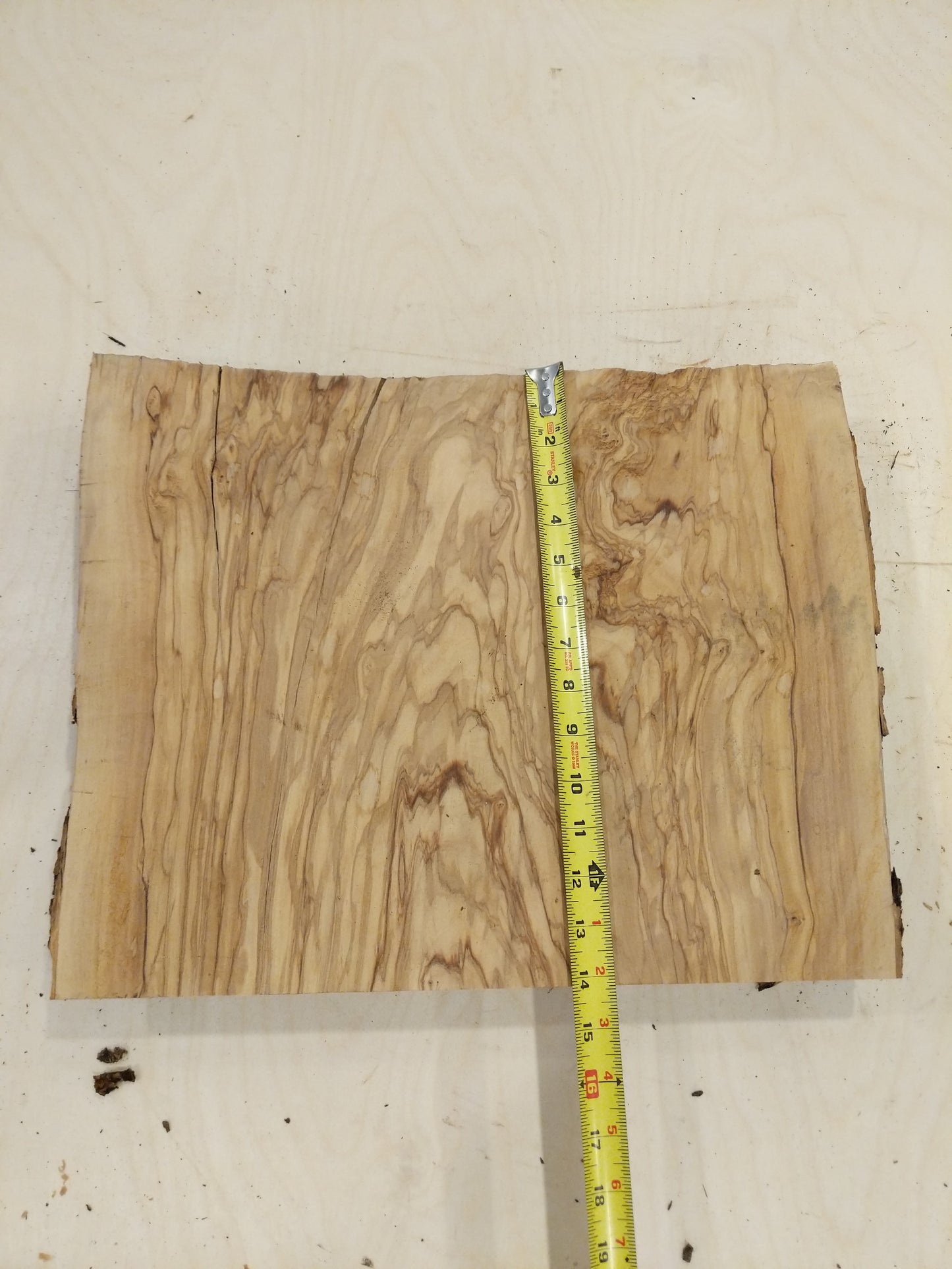 Italian Olive Wood Live Edge Mini Slab