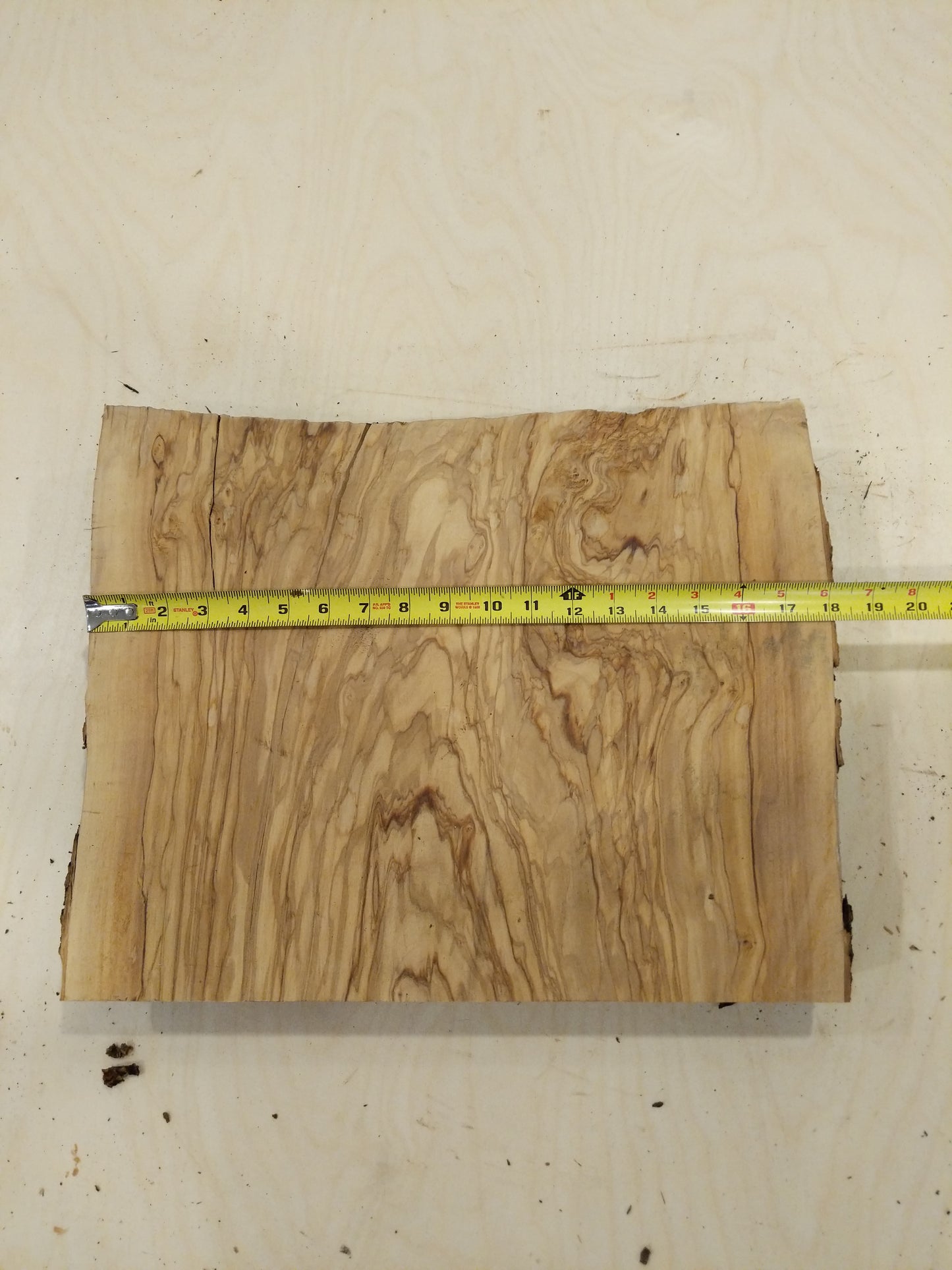 Italian Olive Wood Live Edge Mini Slab