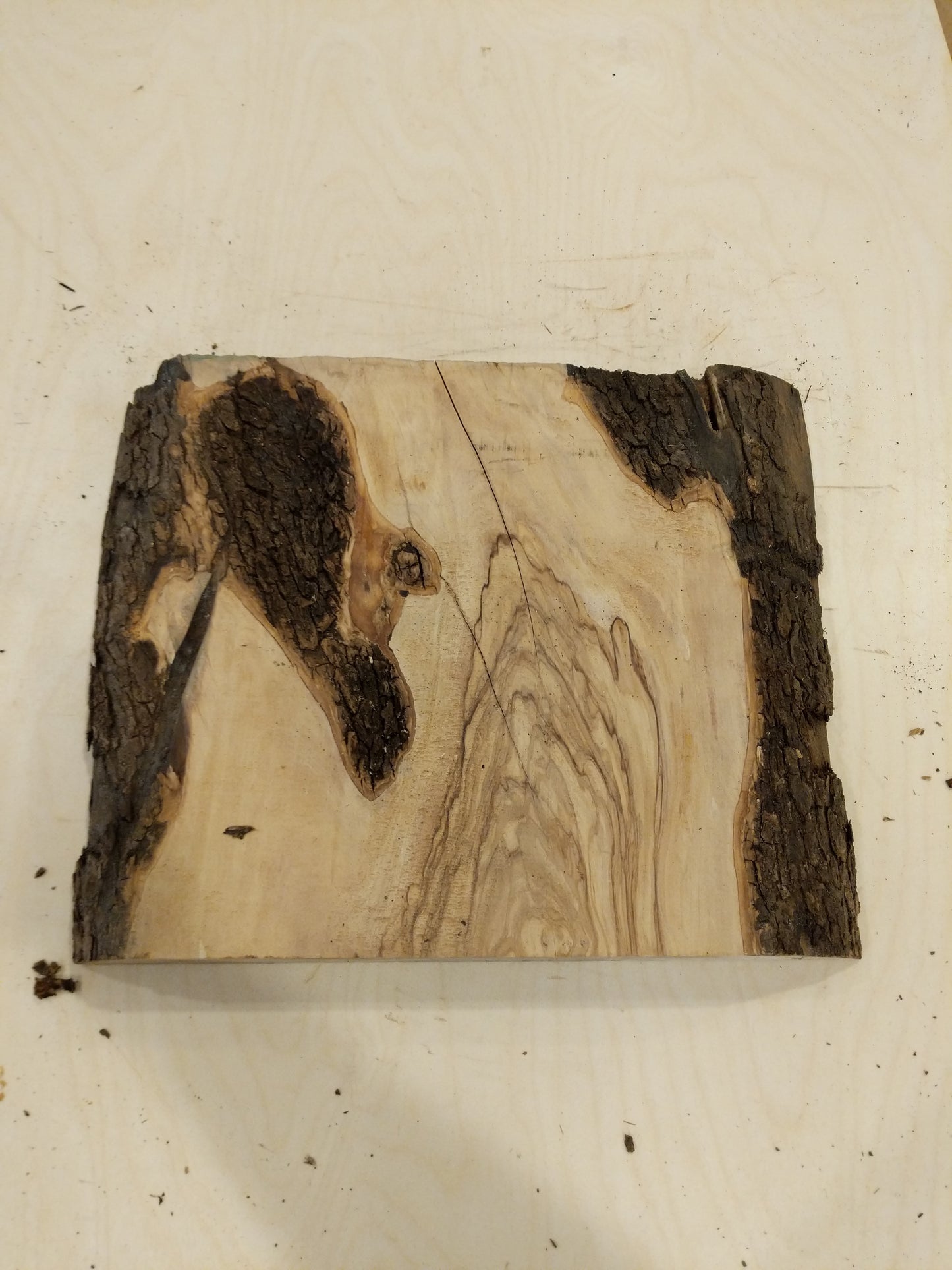 Italian Olive Wood Live Edge Mini Slab