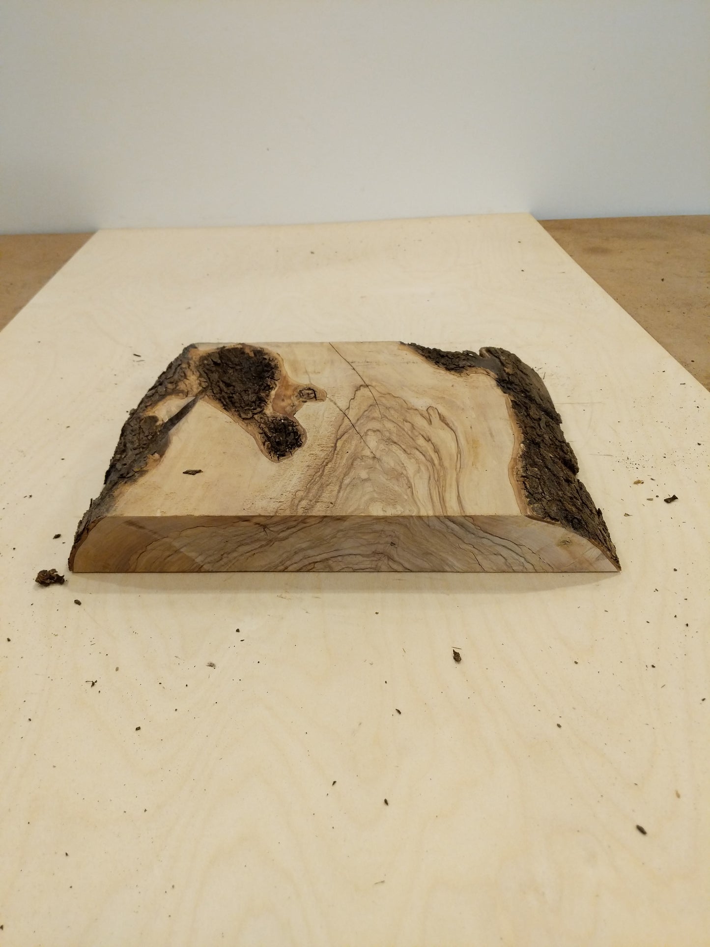 Italian Olive Wood Live Edge Mini Slab