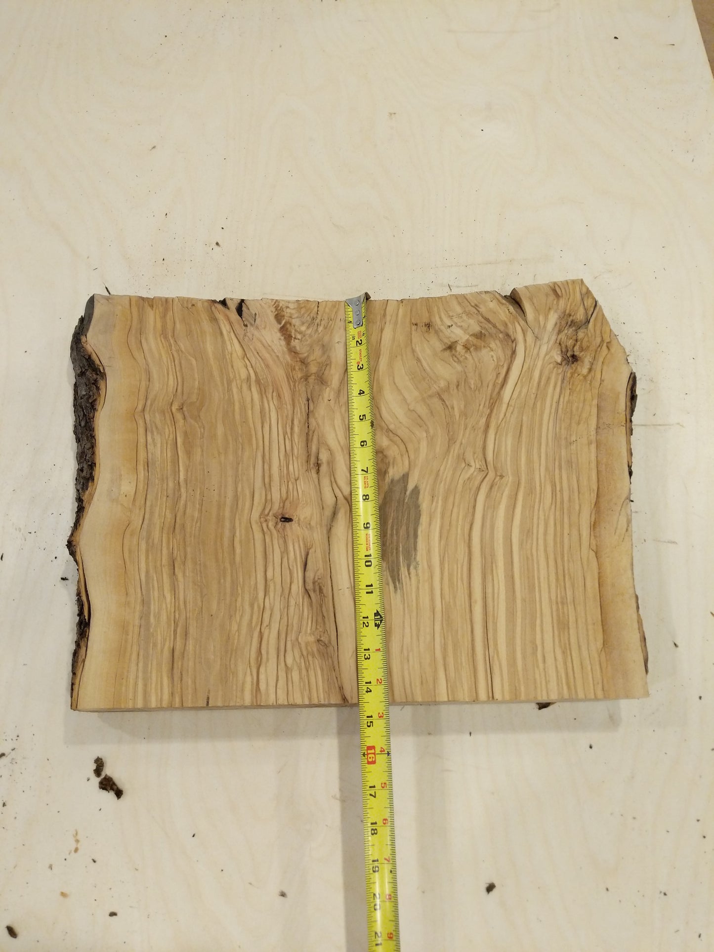 Italian Olive Wood Live Edge Mini Slab