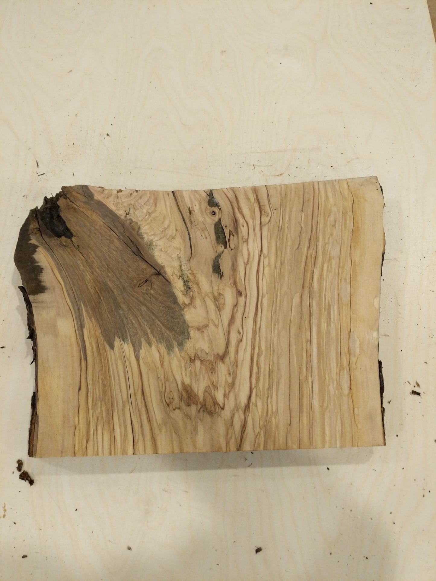 Italian Olive Wood Live Edge Mini Slab