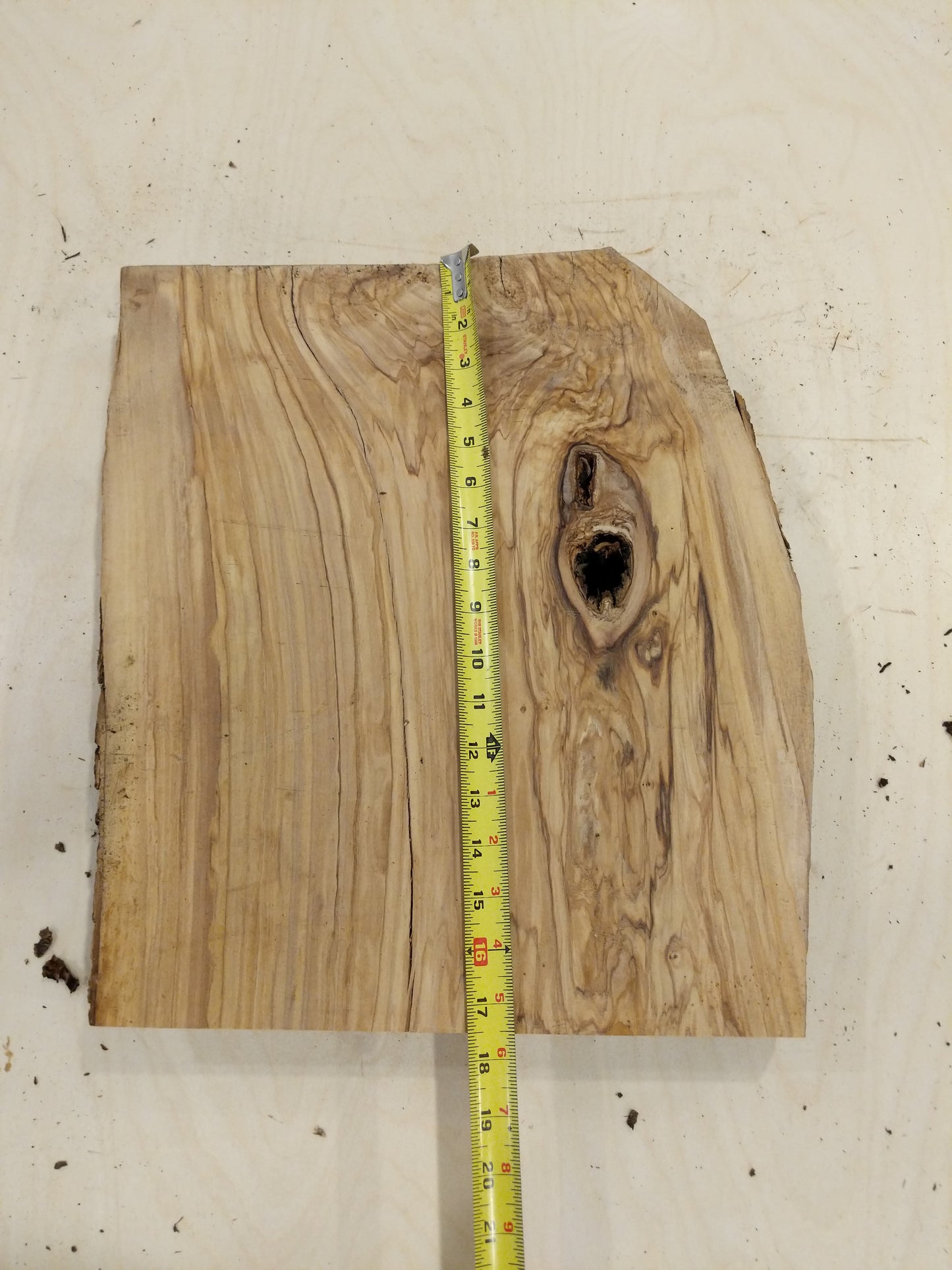 Italian Olive Wood Live Edge Mini Slab