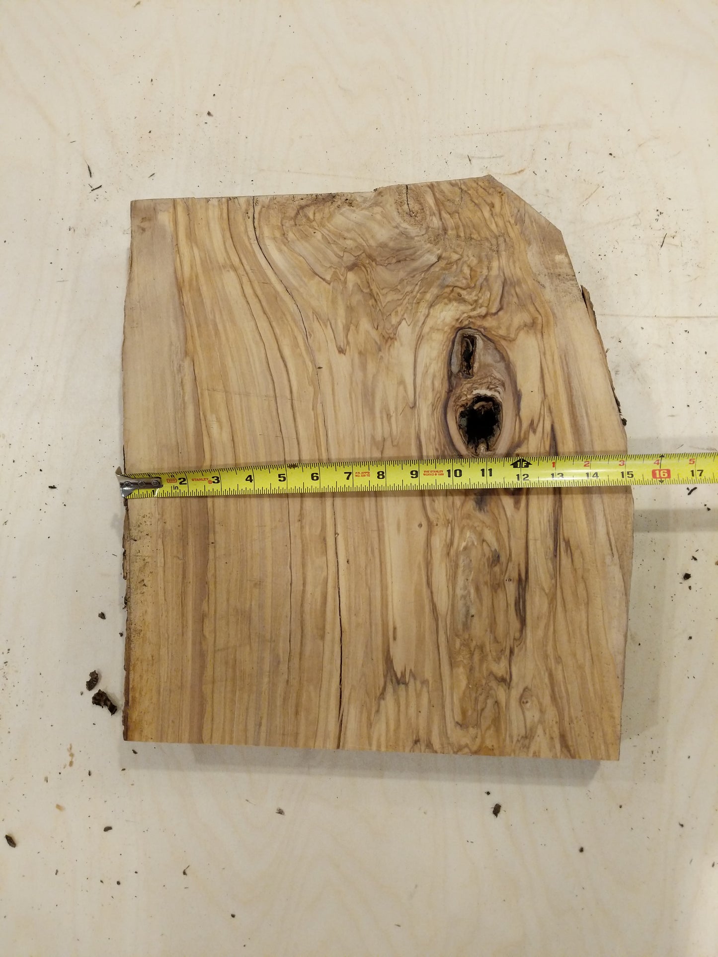 Italian Olive Wood Live Edge Mini Slab