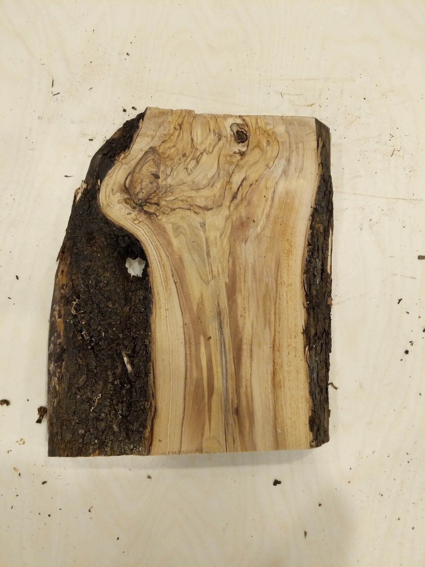 Italian Olive Wood Live Edge Mini Slab