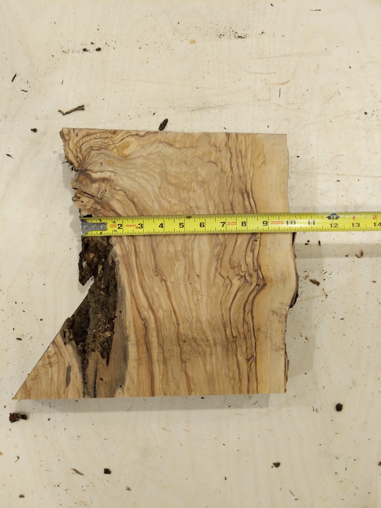 Italian Olive Wood Live Edge Mini Slab