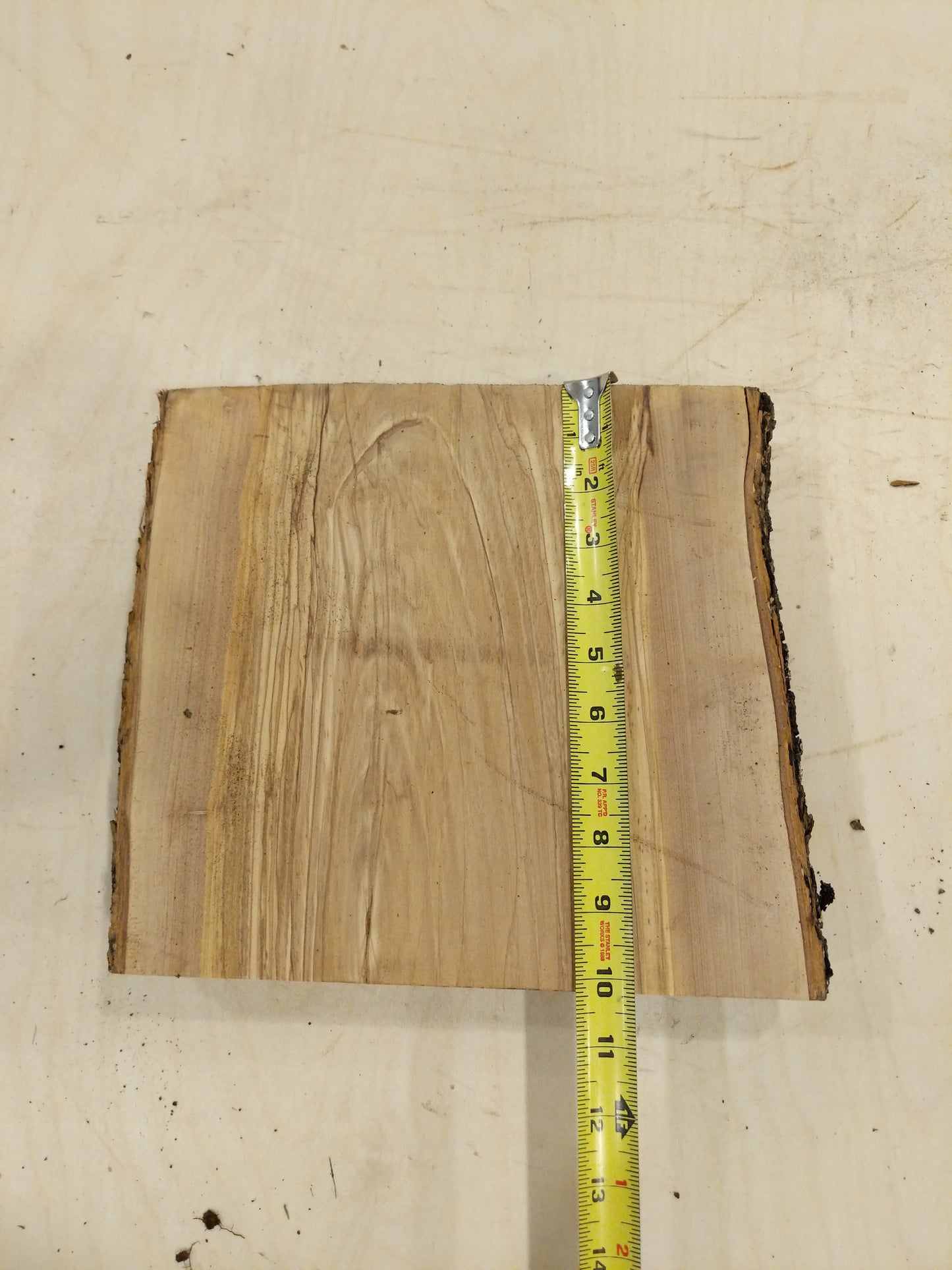 Italian Olive Wood Live Edge Mini Slab