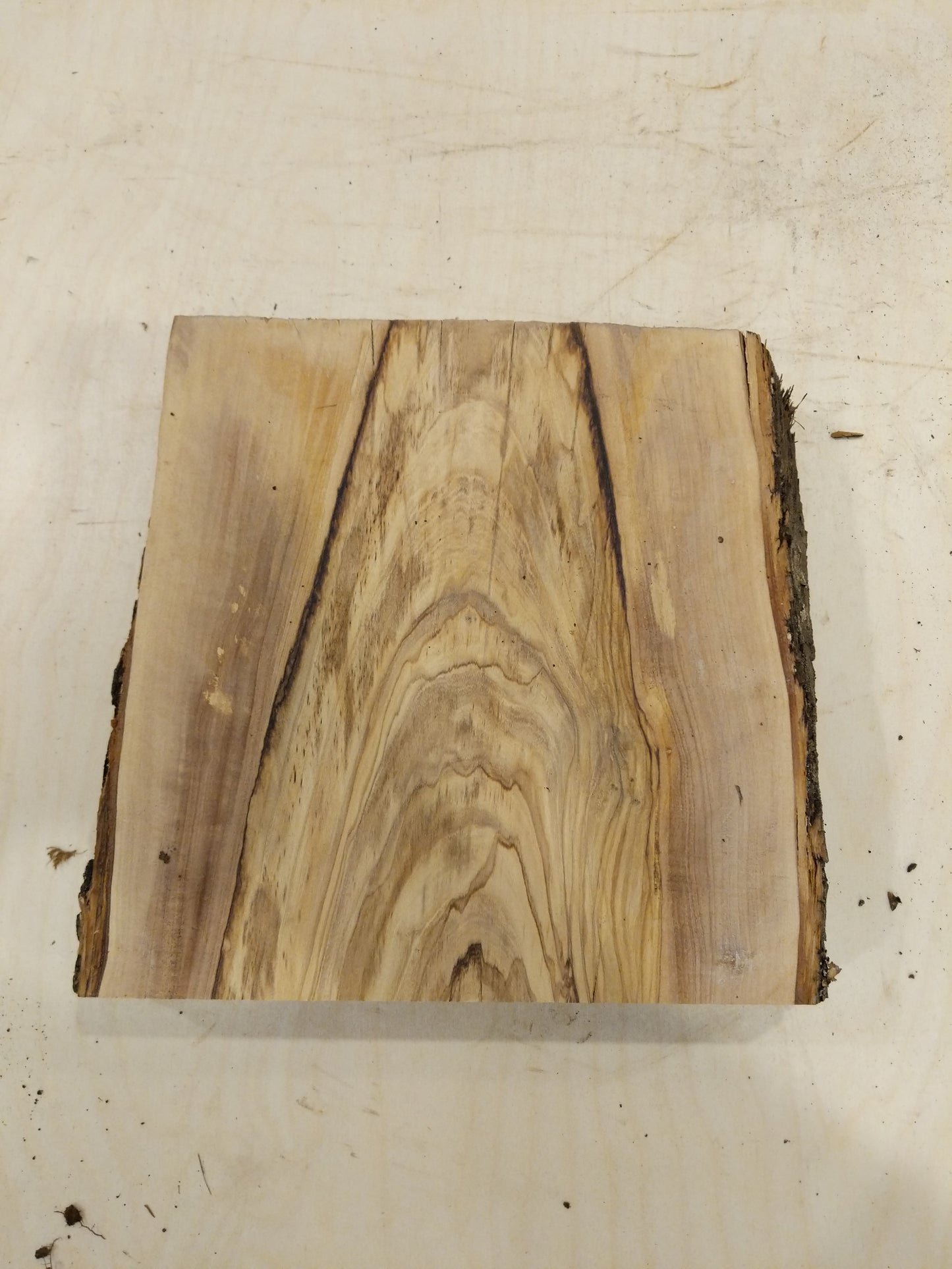 Italian Olive Wood Live Edge Mini Slab