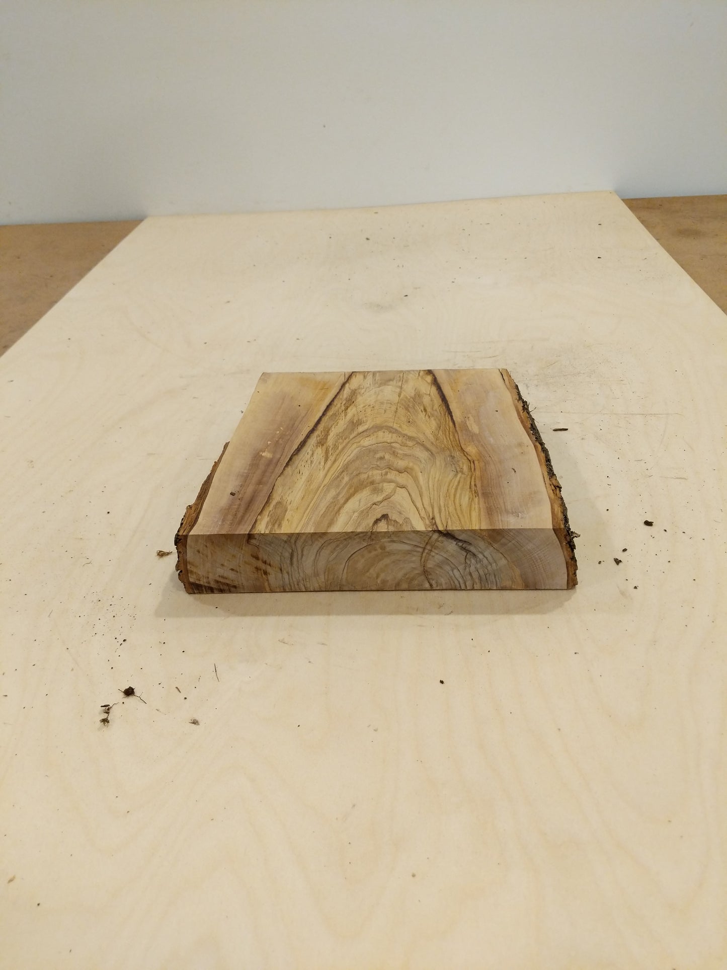Italian Olive Wood Live Edge Mini Slab