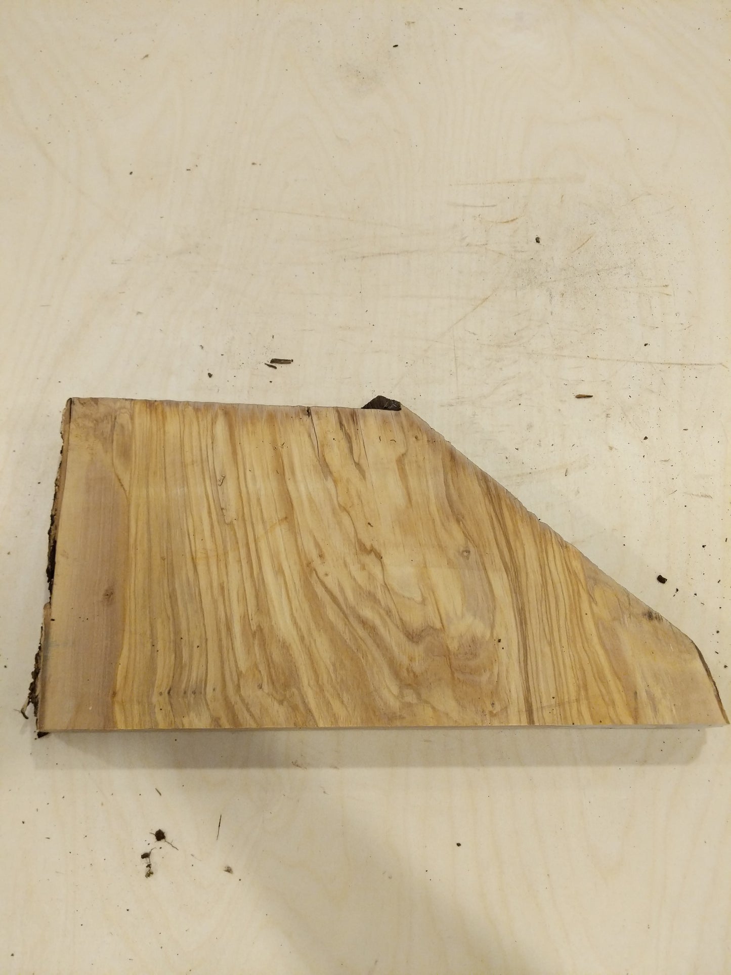 Italian Olive Wood Live Edge Mini Slab