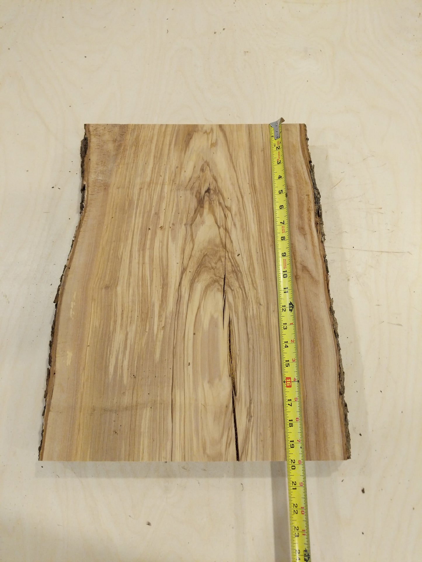 Italian Olive Wood Live Edge Mini Slab