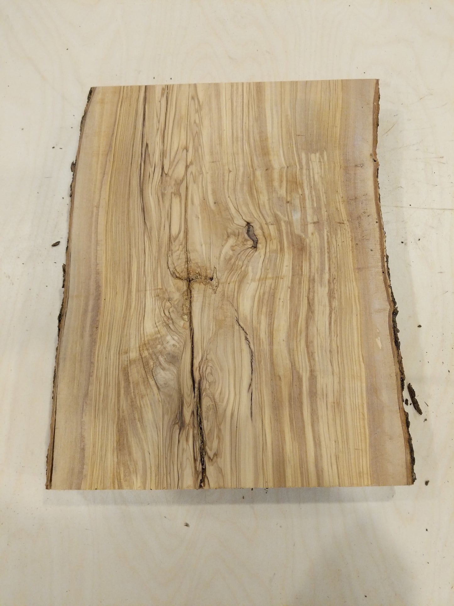 Italian Olive Wood Live Edge Mini Slab