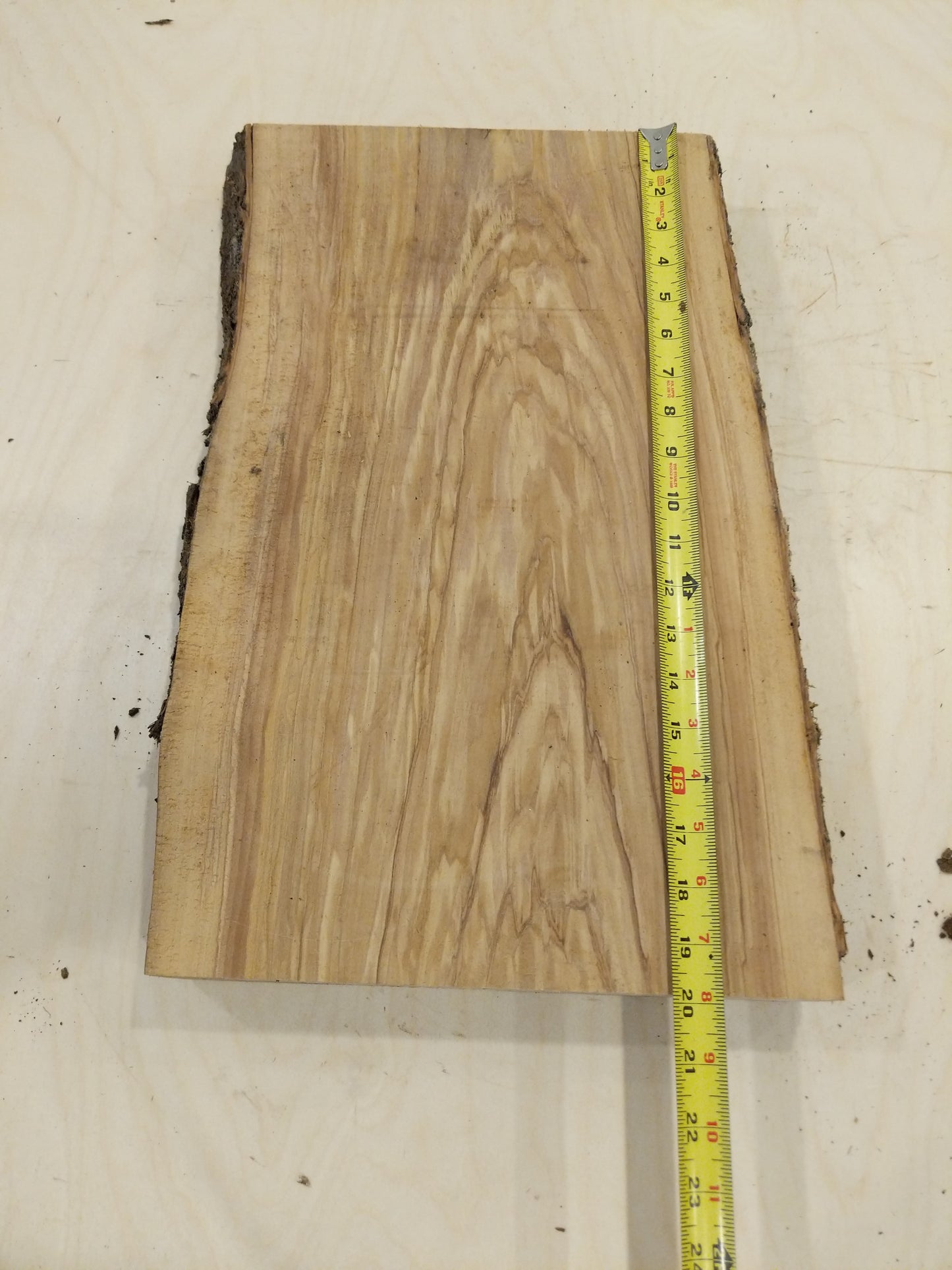 Italian Olive Wood Live Edge Mini Slab