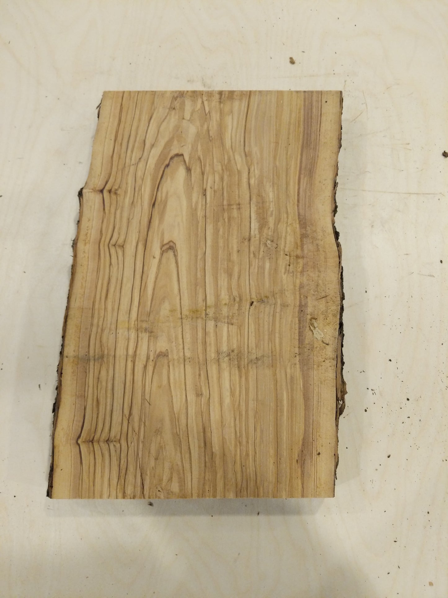 Italian Olive Wood Live Edge Mini Slab