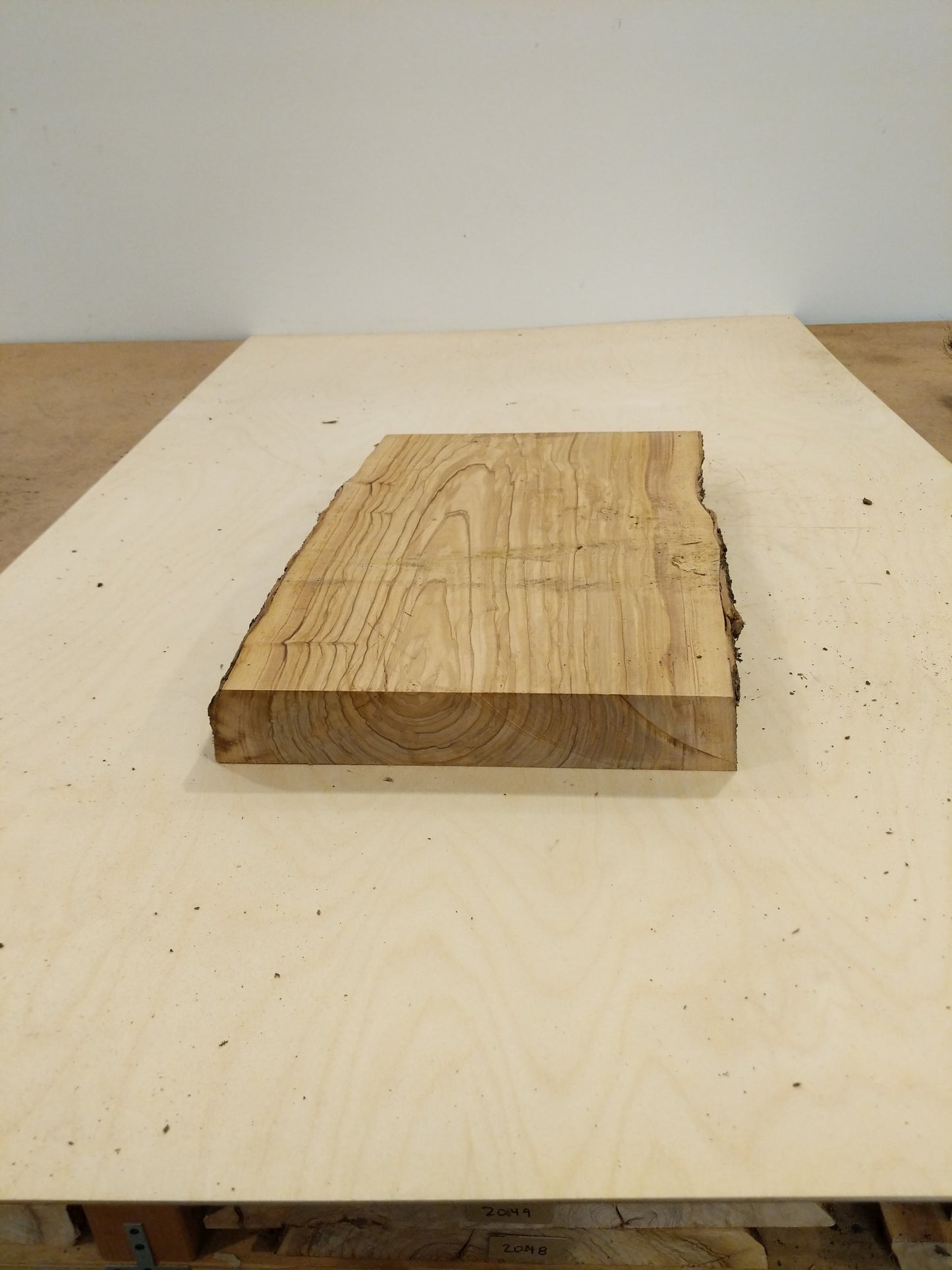 Italian Olive Wood Live Edge Mini Slab