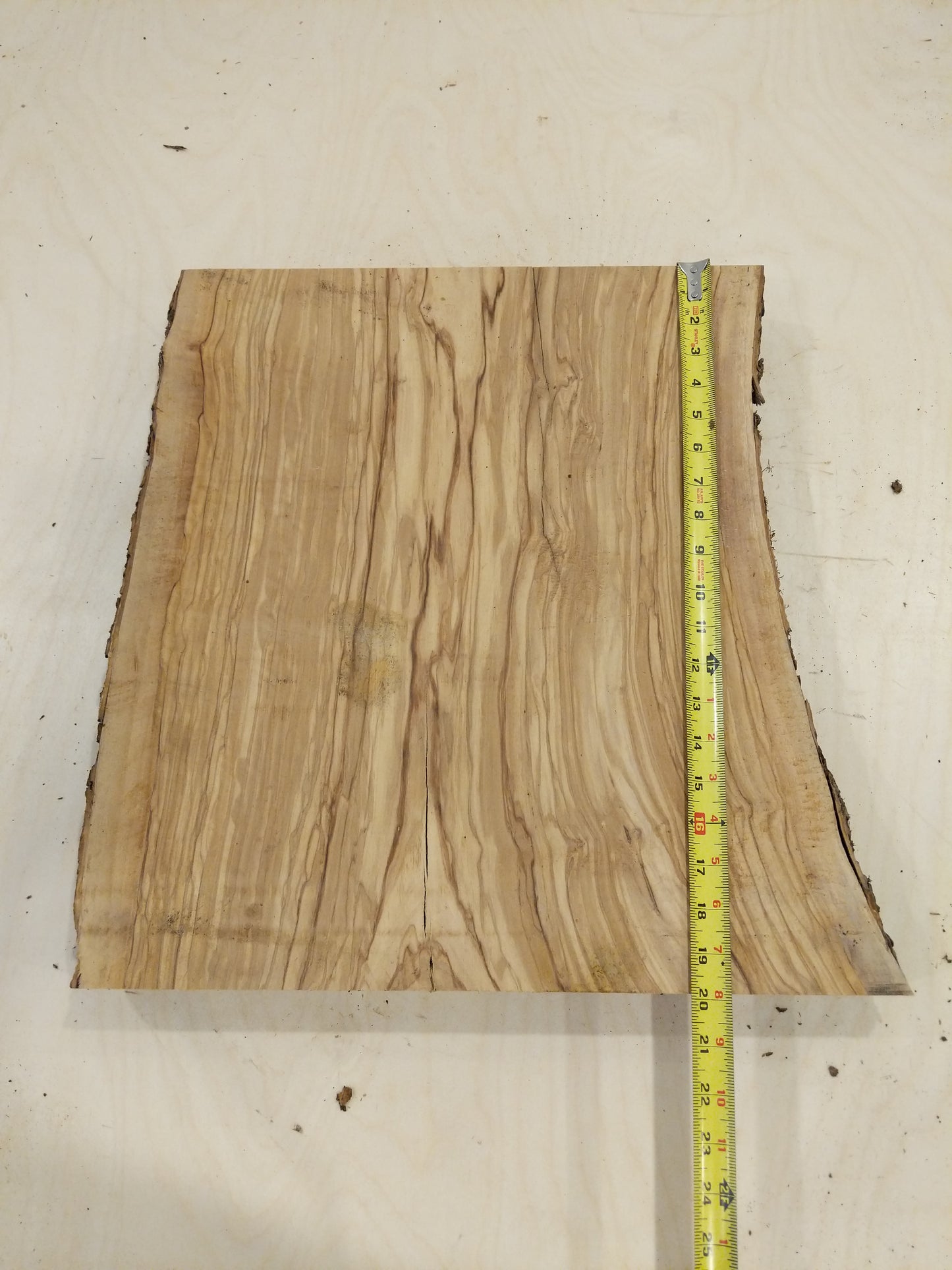 Italian Olive Wood Live Edge Mini Slab