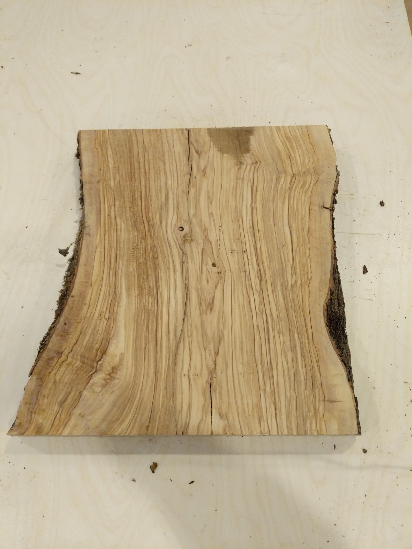 Italian Olive Wood Live Edge Mini Slab
