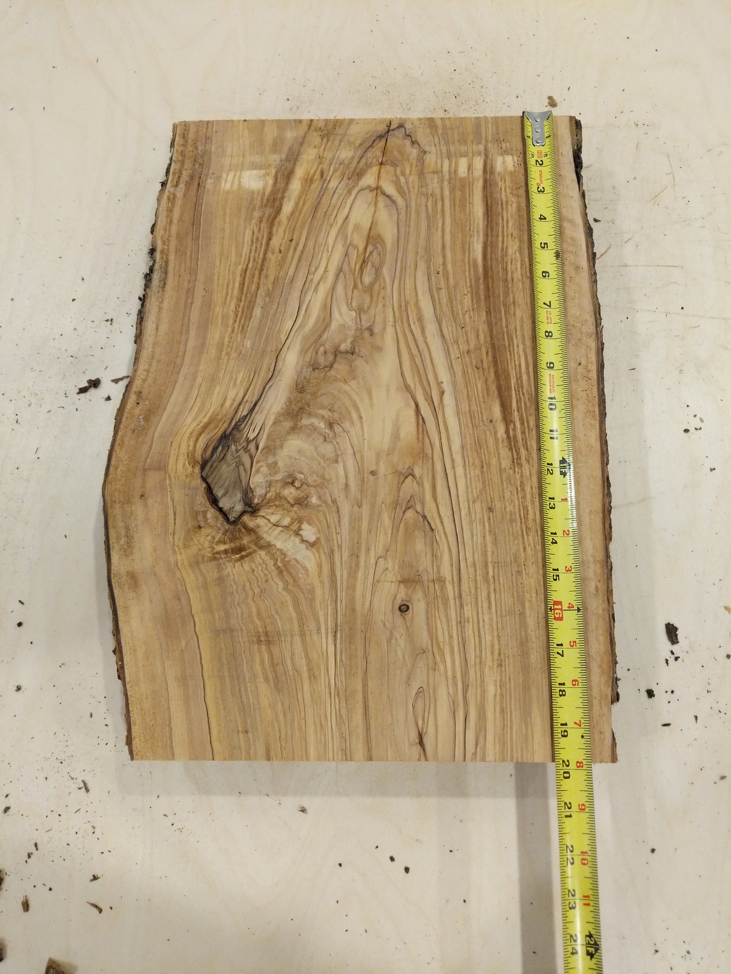 Italian Olive Wood Live Edge Mini Slab