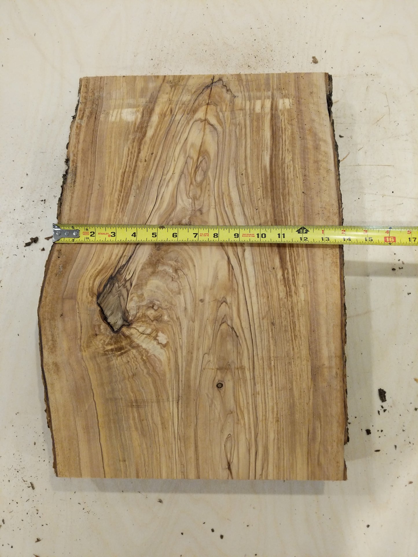 Italian Olive Wood Live Edge Mini Slab