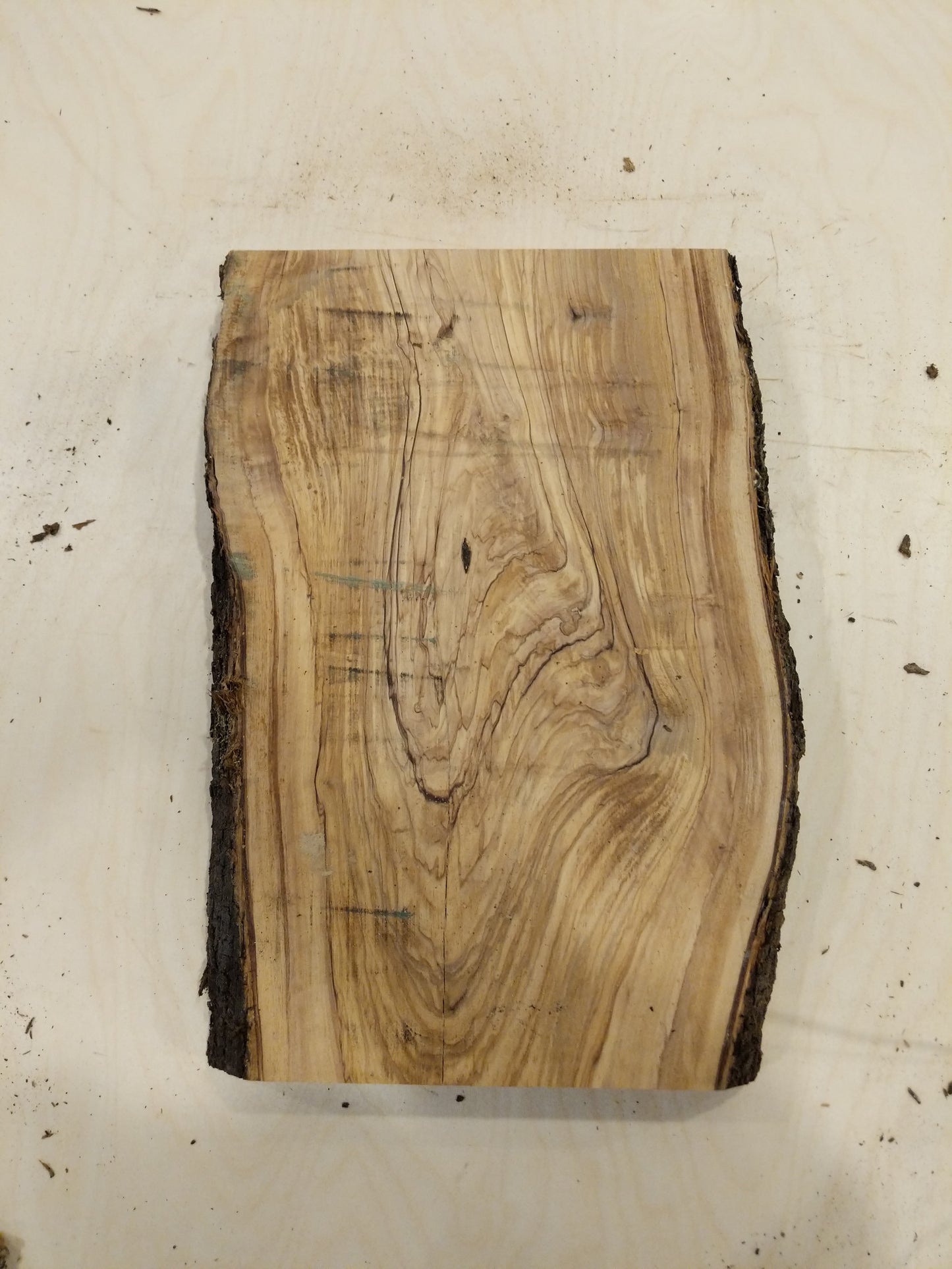 Italian Olive Wood Live Edge Mini Slab