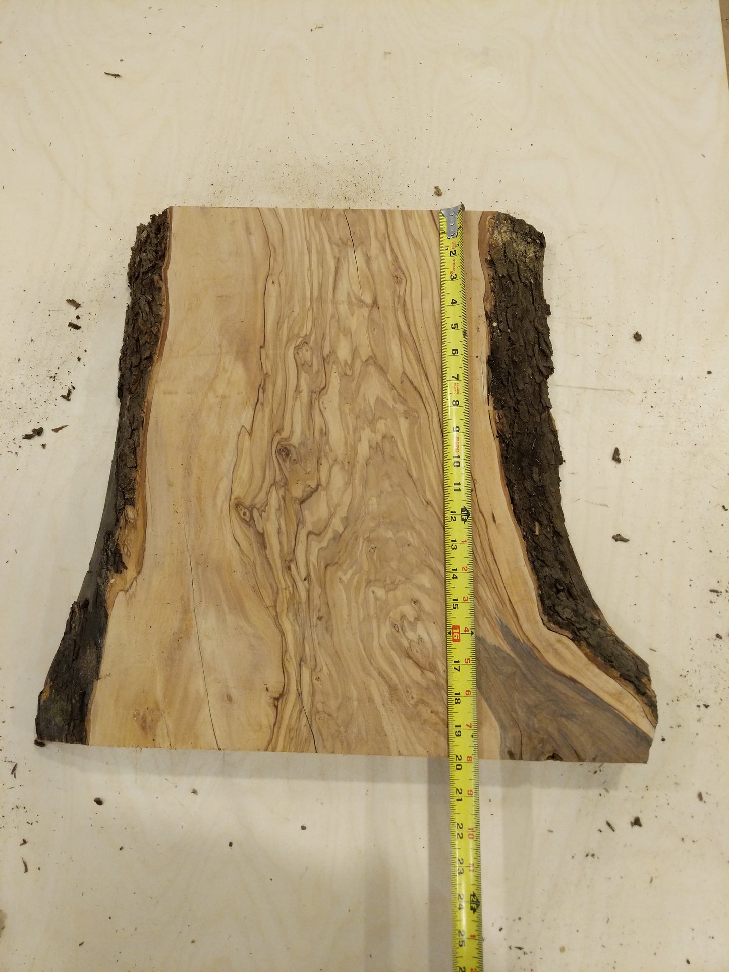 Italian Olive Wood Live Edge Mini Slab