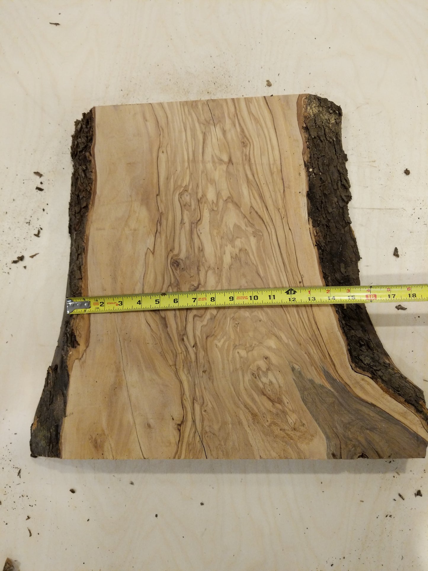 Italian Olive Wood Live Edge Mini Slab