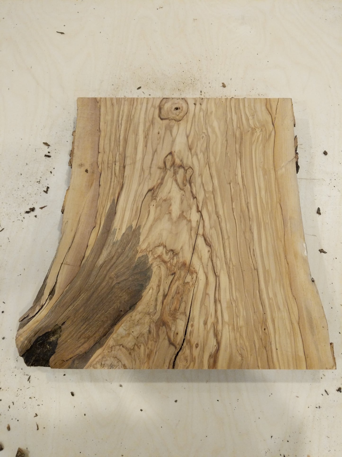 Italian Olive Wood Live Edge Mini Slab