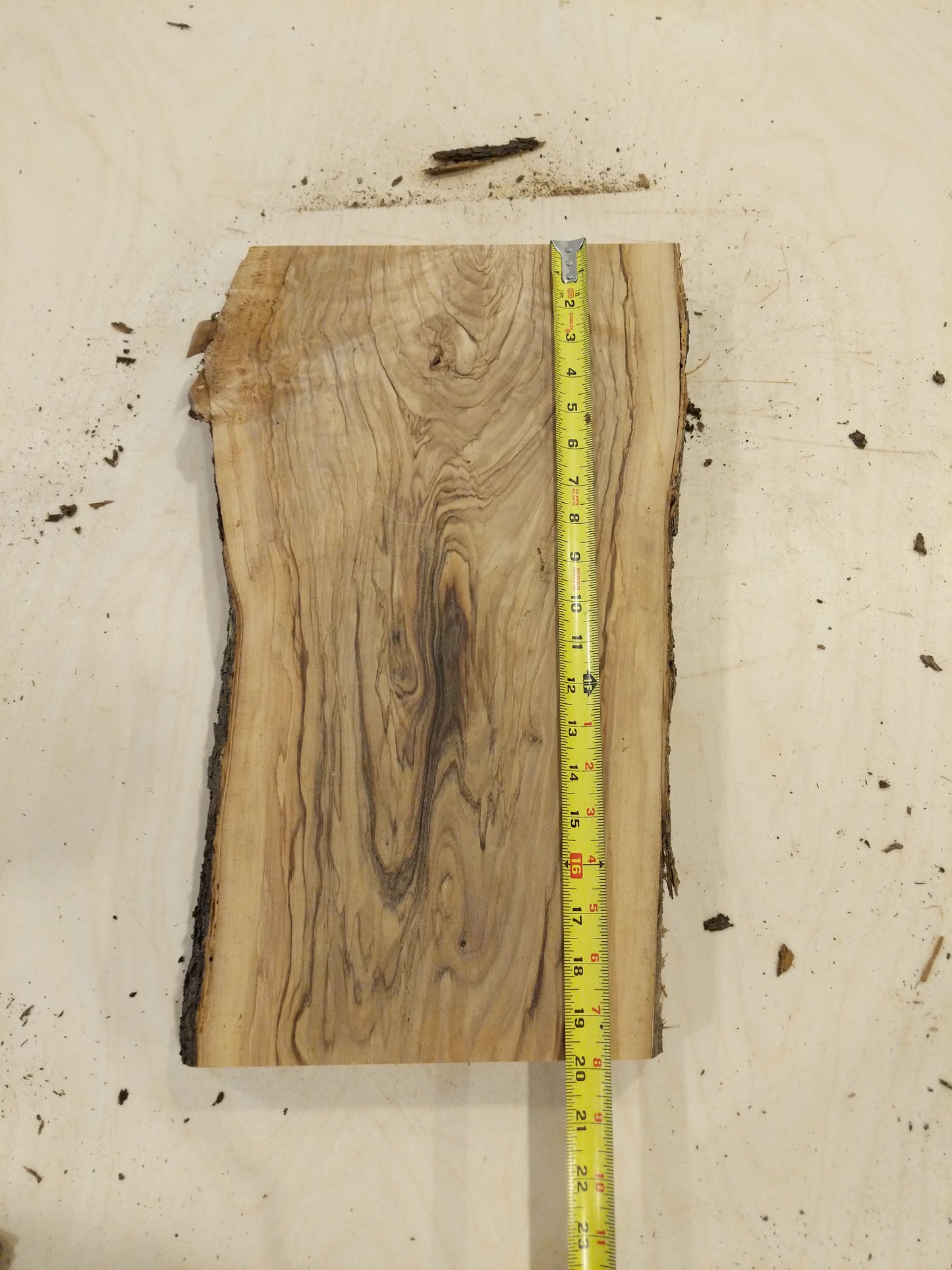 Italian Olive Wood Live Edge Mini Slab