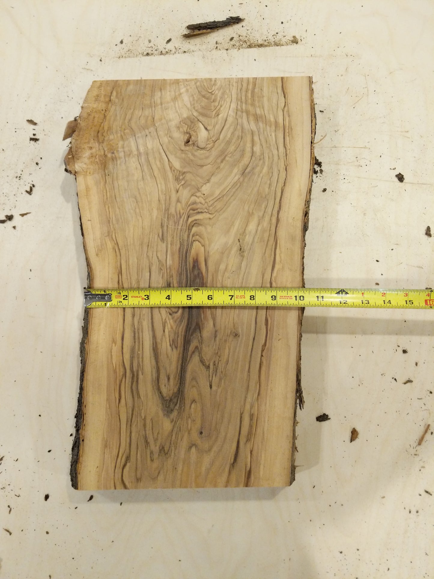 Italian Olive Wood Live Edge Mini Slab