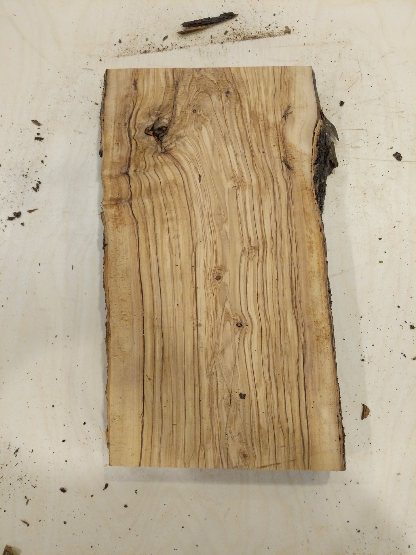 Italian Olive Wood Live Edge Mini Slab